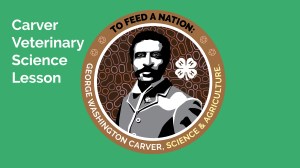 Carver Veternary Science Lesson